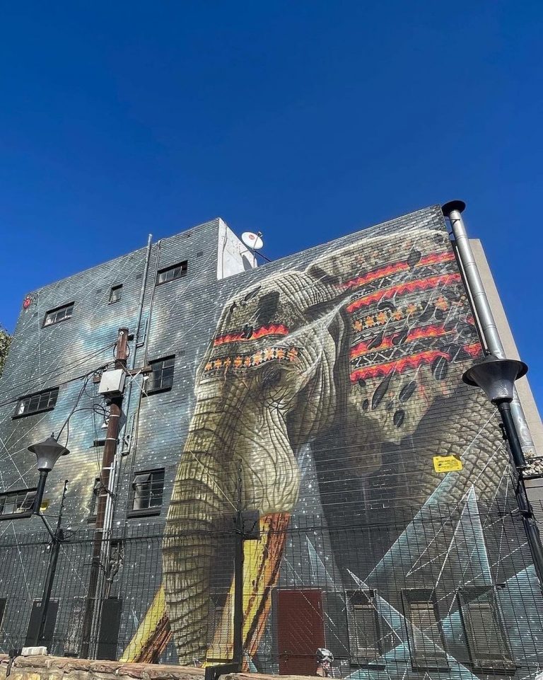 Rosebank, the art district Rosebank Joburg